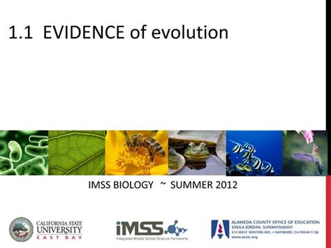 Ppt 11 Evidence Of Evolution Powerpoint Presentation Free Download