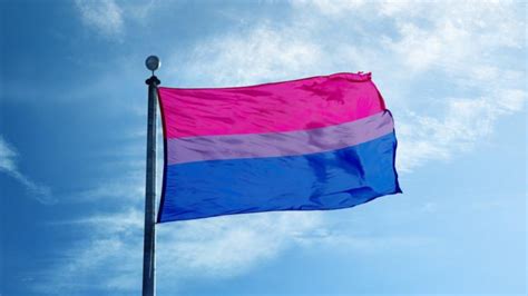 día de la bisexualidad ¿cuál es su bandera y qué significa gluc mx