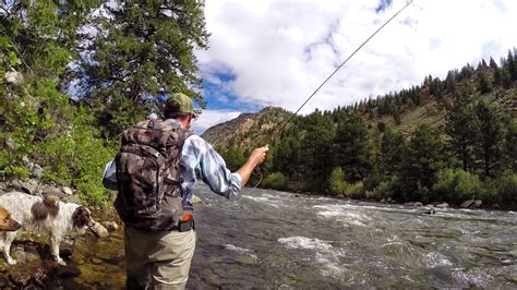 Arkansas River Leadville To Buena Vista Trouts Fly Fishing
