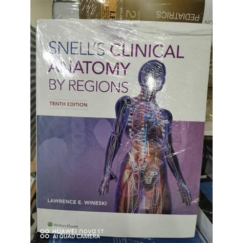 Books Snells Clinical Anatomy By Regions 10th Edition By Lawrence E