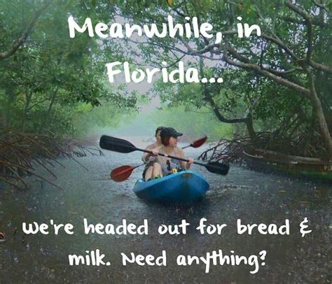 Hurricane Season Florida Meme Woolseygirls Meme