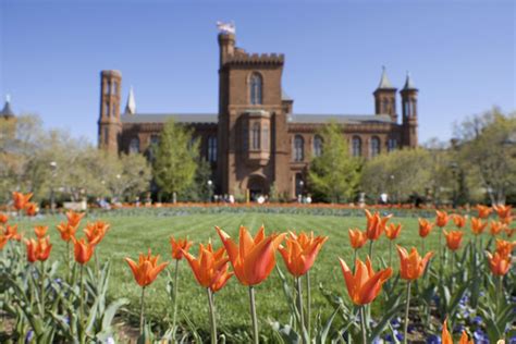 What Is The Smithsonian Faqs About The Smithsonian Institution