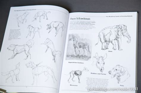 With all of the above, don't use explosive ammo or you'll ruin the pelt. Book Review: The Weatherly Guide to Drawing Animals | Parka Blogs