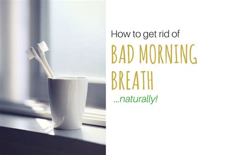 Jan 31, 2020 · the goal of treatment is simple enough: How To Get Rid of Bad Morning Breath (Naturally!)
