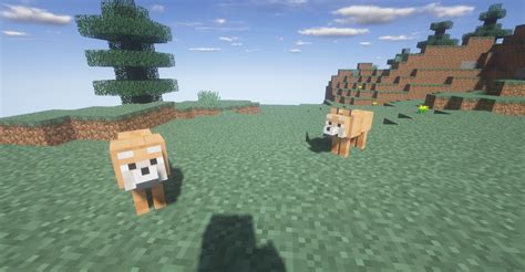 Wolves Except Theyre Shiba Inus Minecraft Texture Pack