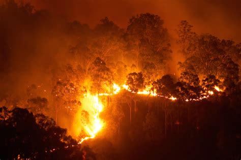 Saturday, 7th february 2009 was one of the darkest days to dawn upon the whole of australia. Bushfires — kidcyber