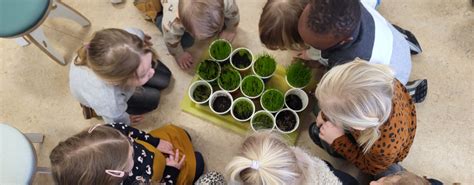 Handj In Handj Kinderdagverblijf And Voor En Naschoolse Opvang Grevenbicht