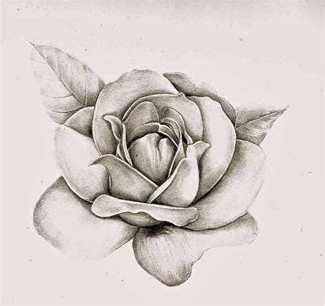 This is optional, but it makes the rose more realistic. How to Draw A Rose, realistic, tattoo roses (11) (With ...