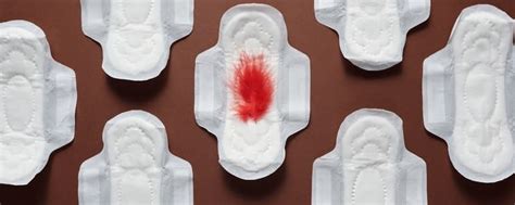 should you have sex during periods