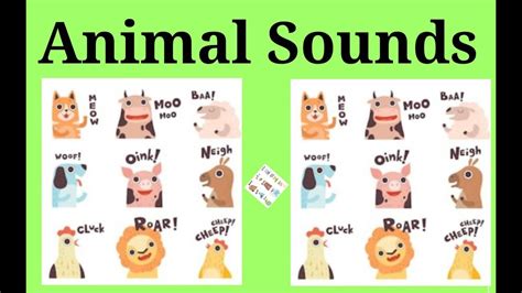 Animals Pictures With Their Sounds