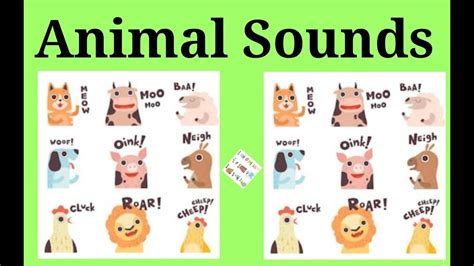 Animal Sounds 