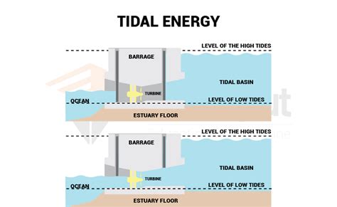 Tidal Energy Formation And Sources