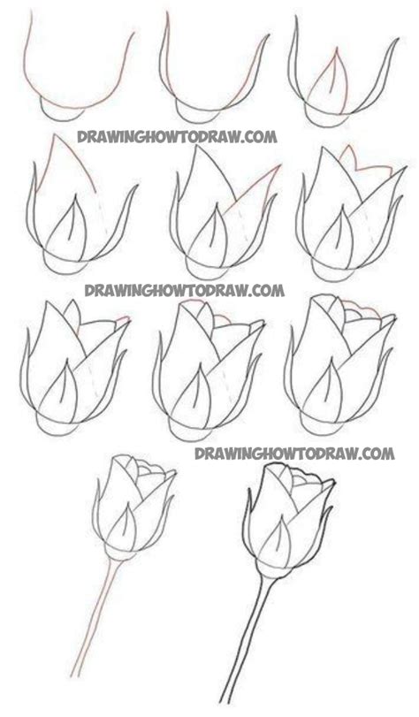 How To Draw Long Stem Roses Drawing Tutorial For Valentines Day Page