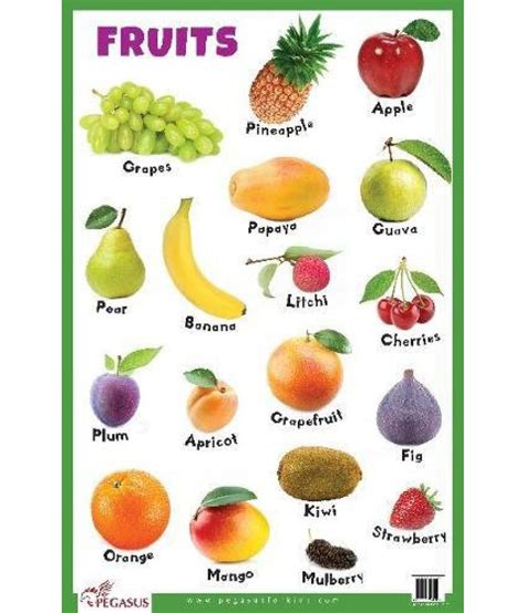 Fruits Educational Charts Buy Fruits Educational Charts Online At Low