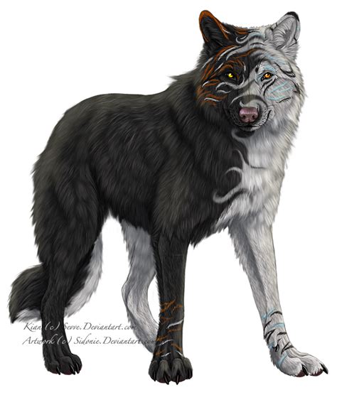 Kian By Sidonie On Deviantart Wolf Art Fantasy Wolf Mythical
