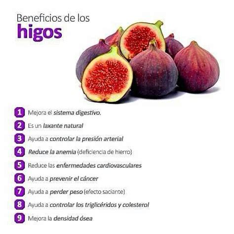 Beneficios Del Higo Frutas Y Verduras Beneficios Beneficios De