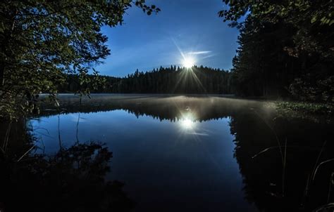 Wallpaper Moonlight Reflection Trees Lake Images For Desktop