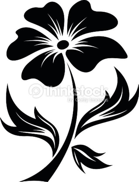 Main, cactus, noir et blanc, la photographie, feuille, fleur, modèle, monochrome, fermer, macrophotographie, plante à fleurs. Fleur noir et blanc clipart 7 » Clipart Station
