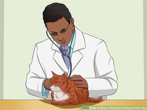 Cats hair thinning or hair loss which is also known as alopecia on hind legs can be caused by a variety of cat hair loss can be partial or complete, and the patterns can vary or be symmetrical. How to Stop a Cat from Pulling Its Hair Out: 10 Steps