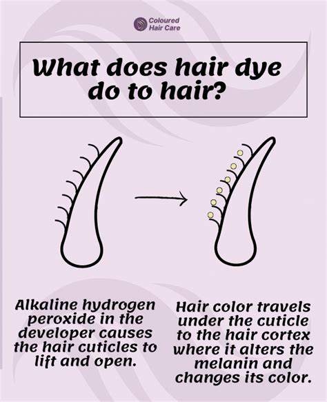 Can Hair Dye Cause Hair Loss Debunking The Myths