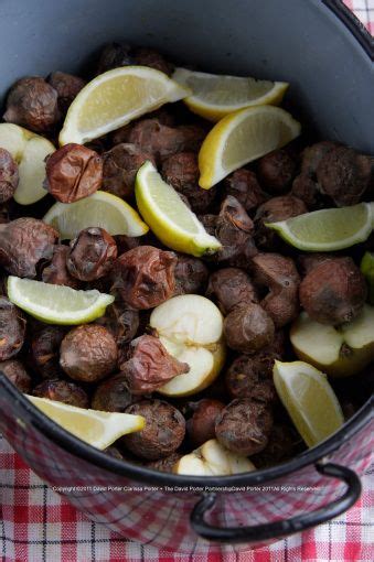 You can simply use a sticky label or you can buy. medlar jelly recipe | Deptford Pudding (With images ...