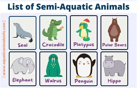 Aquatic Animals Complete Overview With Pictures Animals Space