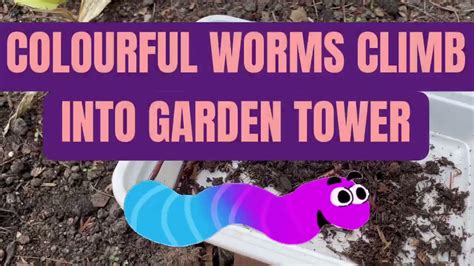 Colourful Worms Climb Into Garden Worm Tower Youtube