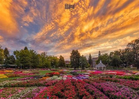 The Coloradostateuniversity Flower Trial Garden Is Truly Something To