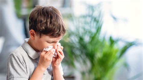 Allergic Rhinitis Allergieshay Fever Pediatric Urgent Care