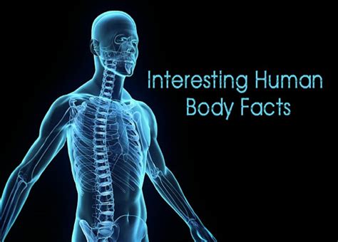 Cool Facts About The Human Body
