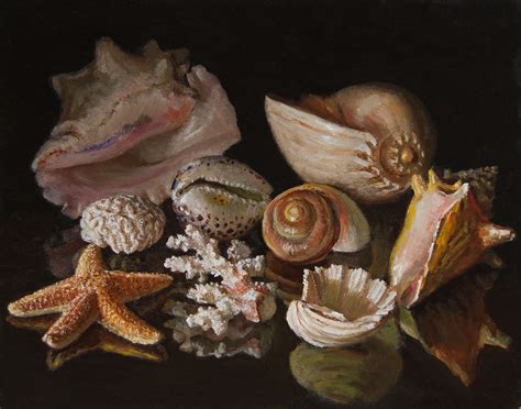 Wang Fine Art Still Life Seashells Original Oil Painting A Day