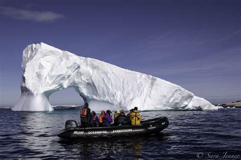 Antarctica Elephant Island Weddell Sea Polar Circle Pla Oceanwide Expeditions