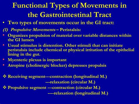 Ppt Lecture 1 Gastrointestinal Physiology Powerpoint Presentation