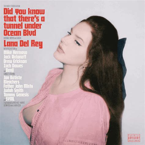 lana del rey did you know that there s a tunnel under ocean blvd edition limitee lp