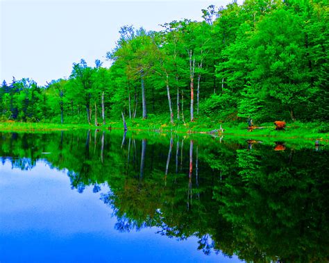 Reflections 6 Photograph By Dominick Mucci Fine Art America