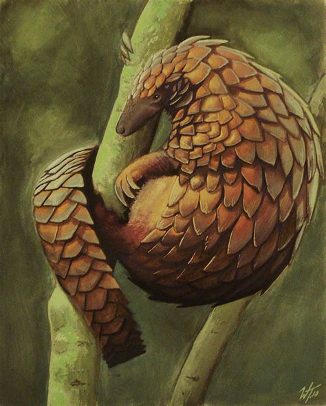 Pangolin is a lightweight portable rapid development library for managing opengl display actually, this library has little python overload. Animal ideas for overgrowth - Page 7 - Wolfire Games Forums