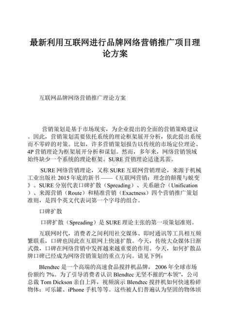 最新利用互联网进行品牌网络营销推广项目理论方案word下载docx 冰点文库