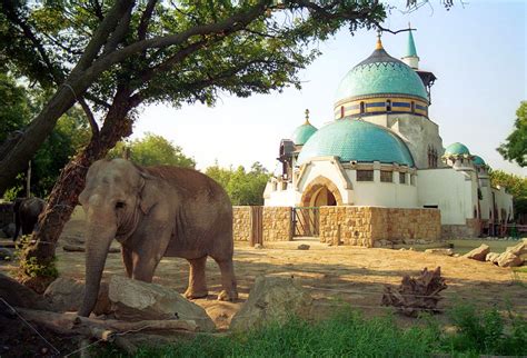 Travel Tips Επίσκεψη στο ζωολογικό κήπο της Βουδαπέστης Budapest Zoo