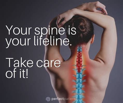 Are You Taking Care Of Your Spine Chiropractic Quotes Chiropractic