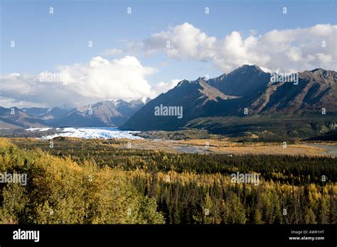 Matanuska Glacier Autumn Forest Chugach Mountains Alaska Usa Stock
