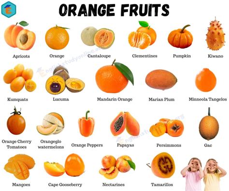 33 Orange Fruits Best Orange Fruits And Vegetable With Esl Pictures