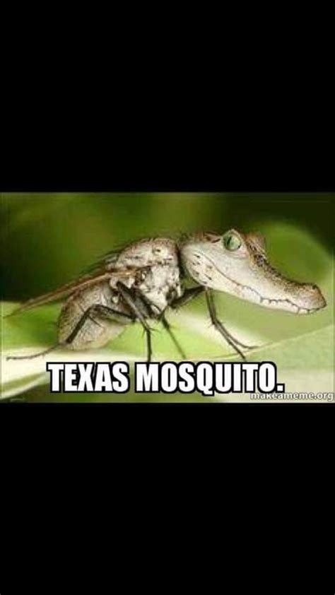 Everything Is Bigger In Texas Including The Bugs Texas Humor Only