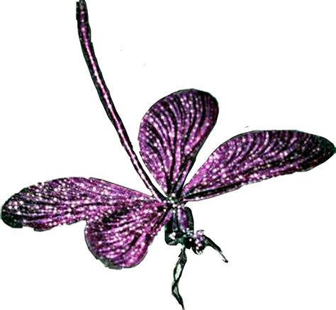 Transparent Purple Dragonfly Clipart Insect Png Download Full