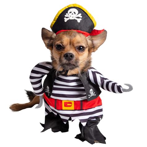 Pirate Dog Costume Pet Krewe