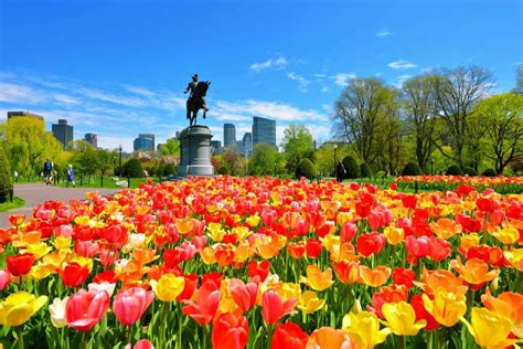 Things To Do In Boston Over Spring Break Istorage