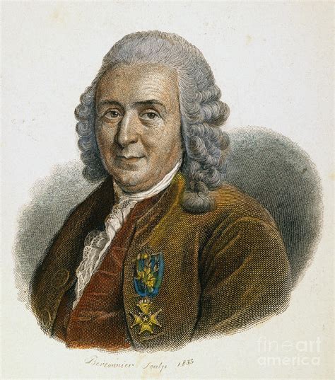 Carolus Linnaeus Photograph By Granger