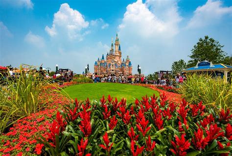 Shanghai Disneyland Grand Opening Report Part 3 Disney Tourist Blog