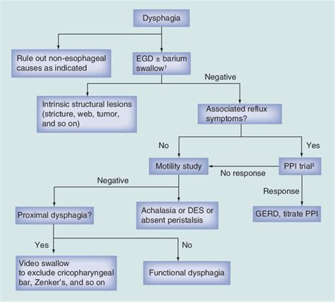 Diagnostic Algorithm For Dysphagia † Barium Swallow May Be More