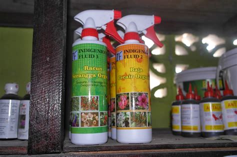 Parit raja is a town in batu pahat district, johor, malaysia. BAJA ORGANIK MAS HITAM (E.M) BOKASHI - SARJANI (M) SDN ...