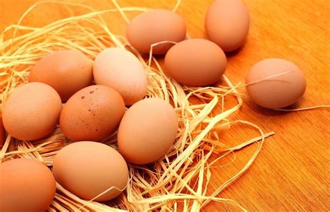 Harga Telur Ayam Naik Ini 10 Alasan Tetap Mengonsumsinya Okezone Health